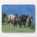 Recherche de mustang sauvage tapis souris Montagnes