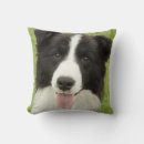 Search for border collie pillows Herding dog