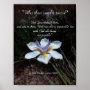 Search for possible Flower