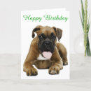 Search for boxer birthday cards Puppy
