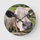 Recherche de vaches mignonnes horloges Drôle