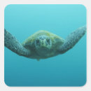 Search for turtle island stickers Tropical
