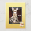 Search for idiots postcards I can has cheezburger