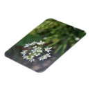 Recherche de délicieux magnets Jardin