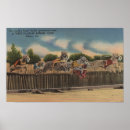 Search for dog kennel posters Greyhound