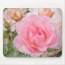 Search for old fashioned mousepads Pink roses