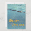 Search for alligator photo cards Crocodile