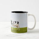 Search for holstein cow mugs Horizontal