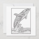 Search for killer whales cards Animal