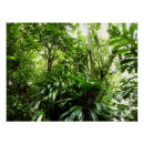 Recherche de forêts tropicales posters Nature