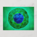 Recherche de membrane cartes postales Gros plan