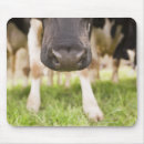 Search for nosed mousepads Animal