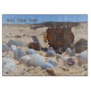 Recherche de coquillage planches à découper Sable