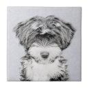 Search for tibetan tiles Dog