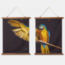 Search for macaws photography Bird