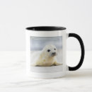 Search for baby seal mugs Snow