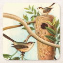 Search for nest coasters Bird