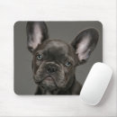 Recherche de bébés animaux tapis souris Canine
