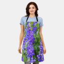 Search for purple bloom aprons Plant