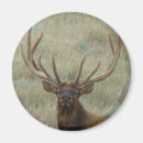 Recherche de élan magnets Chasse