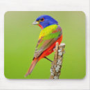 Search for larry ditto mousepads Bird