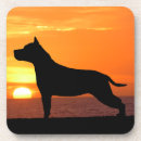 Search for american staffordshire terrier Silhouette
