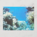 Recherche de plongée sous marine cartes postales Rouge