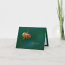 Recherche de lis vœux cartes Fleur sauvage