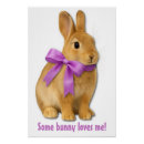 Search for bunny nursery decor Bunnies