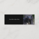 Search for black bear business cards Animal