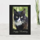 Search for black and white cat birthday cards Kitten