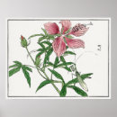 Search for praying mantis posters Flower
