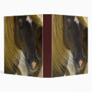 Search for horse photo binders Equine