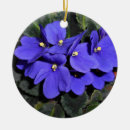 Recherche de violette africaine ornements Floral