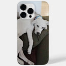 Search for chair iphone cases Funny