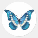 Search for beautiful butterflies stickers Colourful