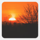 Search for sunset orange stickers Colourful