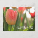 Recherche de le fond cartes postales Pour tous