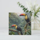 Search for toucan bird invitations Birds