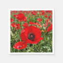Recherche de anzac Pavot