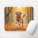Search for running electronics Pet