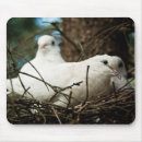 Search for white doves electronics Bird