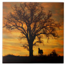 Recherche de sud ouest photographie Cheval