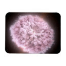 Search for neutrons magnets Space