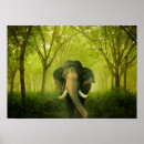 Search for indian posters Forest