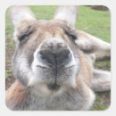 Search for educator stickers For her