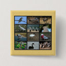 Search for birdwatcher buttons Birds