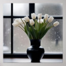 Recherche de tulipe blanche posters Fleurs