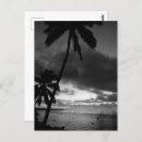 Recherche de palmiers noirs et blancs cartes postales Plage