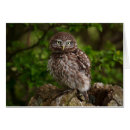Recherche de athènes photographie Nature